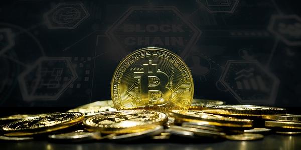 Ark Invest Buys $16.5M of Coinbase Stock, Largest Purchase Since Aug. 1