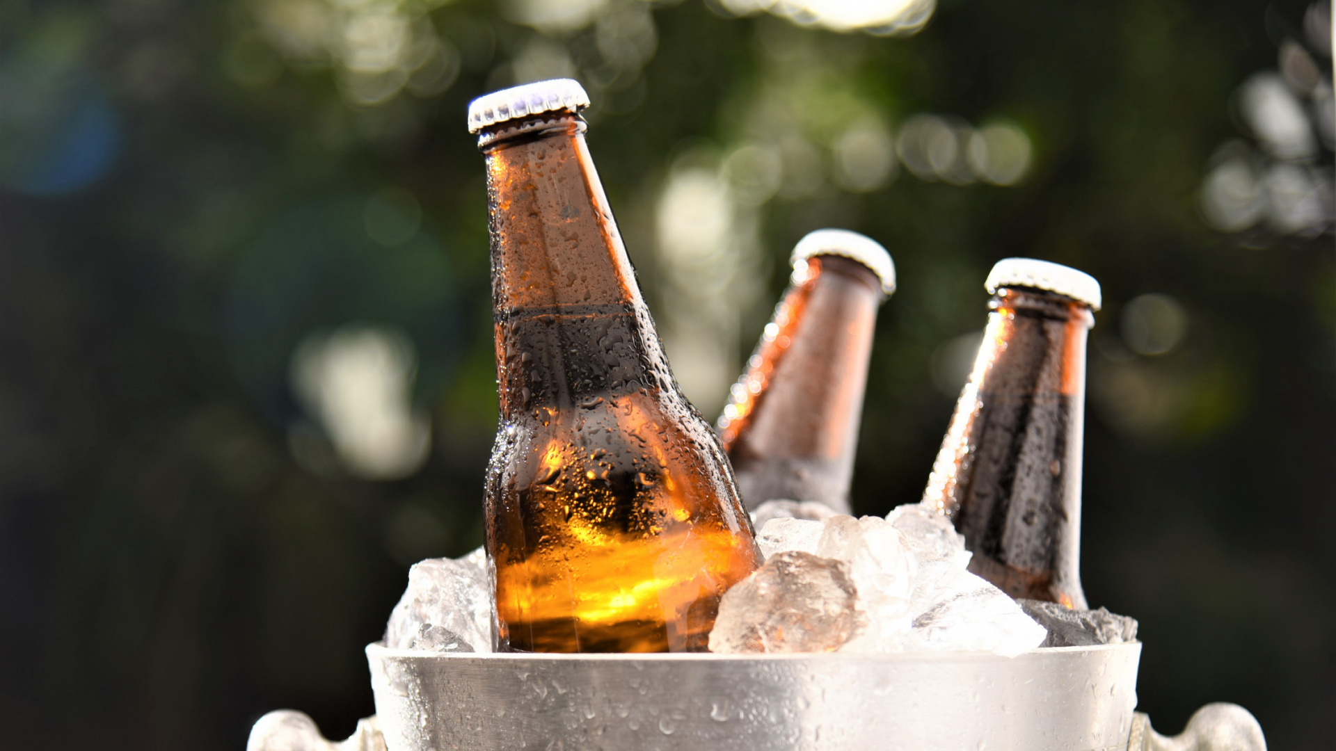 Weekly Stock Study – Molson Coors (TAP) - Prime AI 1 Header Blog coors 1